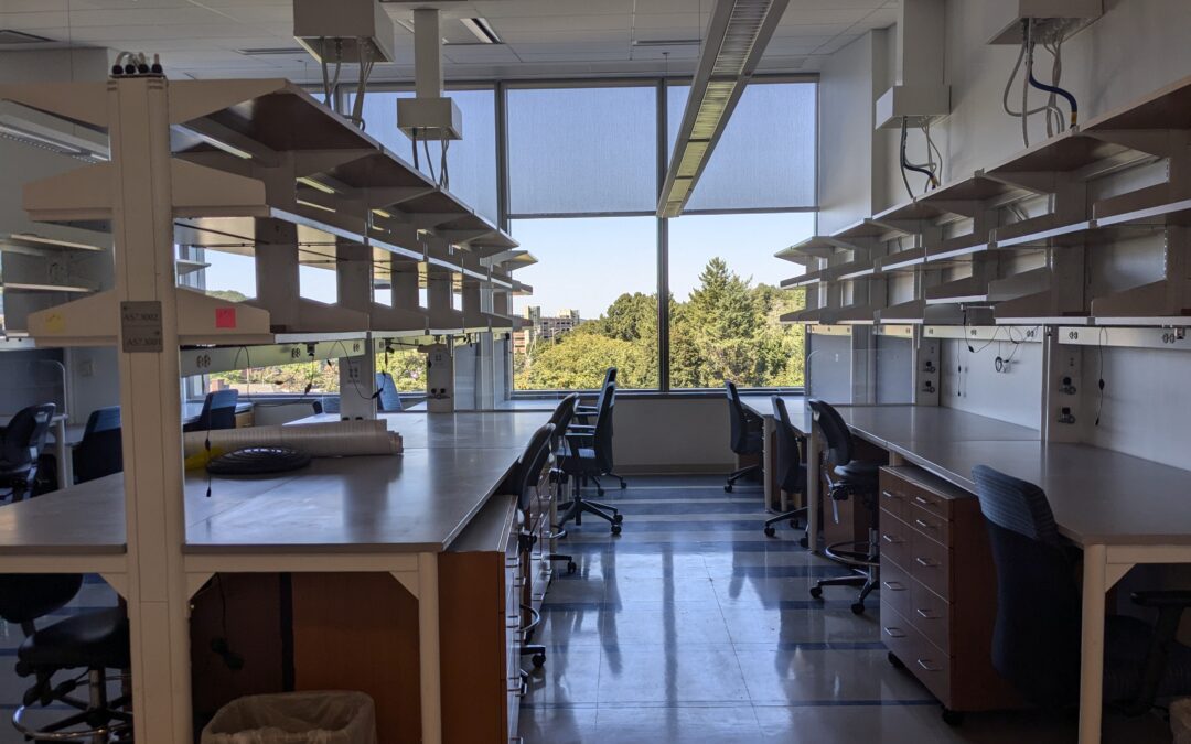 The Bondeson lab opens!